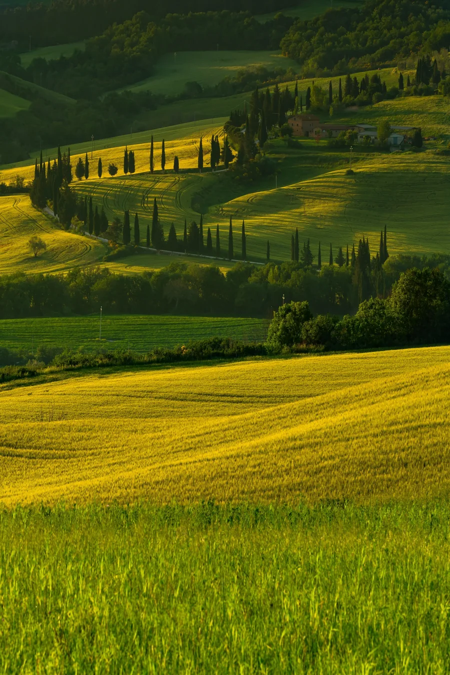 La campagna italiana